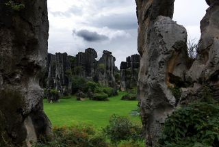 Stone forest 2