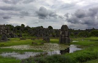 Stone forest 3