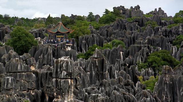 Stone forest 4
