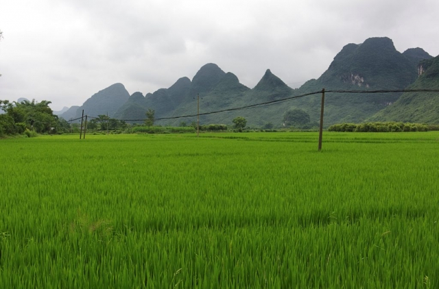 Yangshuo